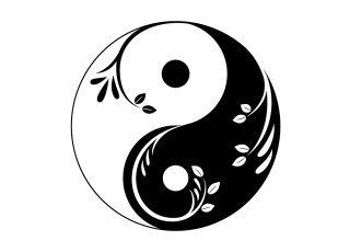 logo En savoir + sur la médecine Chinoise 